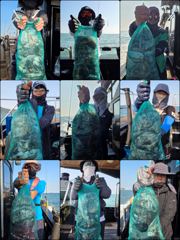 [먹물] ♡갑.쭈♡ 9월 29일 굿~! 조황~!^^