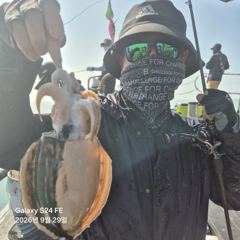 2026년 9월 29일 블랙호 조황사진입니다