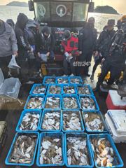 9월29일 갑오징어 조황 사진
