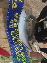 26.9.29 조황 현황