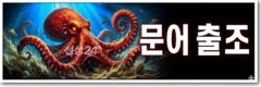 9/30 군산 "문어" 출조~!! 여유자리 있습니다. 사진