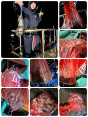 실시간! 2부돌문어! 2부는무늬병합가능 사진