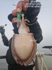 ●군산리더호 2일금욜 자리여유요 갑이잘나오네요●