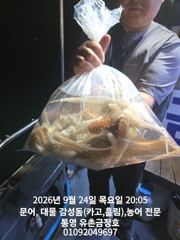 [통영] 통영 금정호 오전문어선상 내일 정상출항! 자리있습니다 주말 자리…