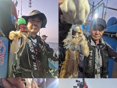 크라운호 쭈,갑 실시간 조황(30일)-오후자리있음