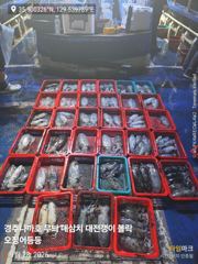 무늬 팁런 추석 연휴 조황 그리고 대삼치 중삼치 대고시는 풍년