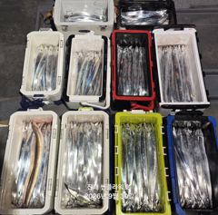 30일,입항<내만갈치>큼직한씨알,손맛짱짱!수,목,금~예약중