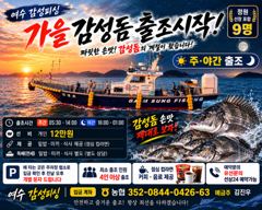 10월1일(목)가을감성돔개인출조합니다