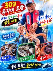 [사천] 주꾸미~30일~굿조황~내일~예약받습니다.
