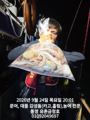 [통영] 통영 금정호 오전문어선상 내일 자리있습니다 주말도 자리여유있어요