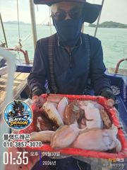 [사천] 갑오징어 씨알 제대로 붙었습니다! 중치급 이상 따박따박