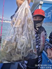 [사천] 30일 왕쭈꾸미 씨알은 좋고 마릿수는 좀 부족하네요~^^
