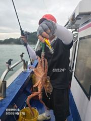 [진해 문어낚시]묵직하게 올라오는 돌문어 찐한 손맛~! 내일도 달립니다^0^