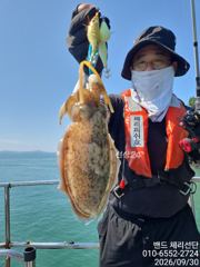 사량도 문어 + 신발짝 갑오징어 (2일까지 선비 6만원)