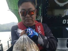 왕쭈꾸미 쩍쩍 달라붙습니다