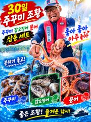 주꾸미~1,2일~예약받습니다.