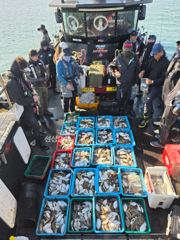 9월30일 갑오징어 조황