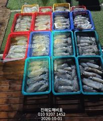 팁런무늬오징어 9월30일 수요일 출조 조황입니다