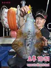 9/30 팁런조황