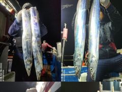 [여수,광양] <여수뉴피닉스호> 내일(금) 씨알좋은 갈치출조 자리많습니다. 황…