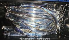 [진해] 준내만 4지급 텐빈 갈치 가득 쿨러 조항!! 내일 무조건 출항