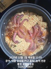통영 금정호 드디어 문어들이 터져나오기 시작합니다 내일과주말 오전,오후 자리 여유있습니다