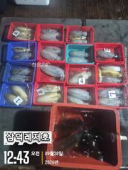 [팁런],원도권,무시들(금요일,소수인원,출항확정)