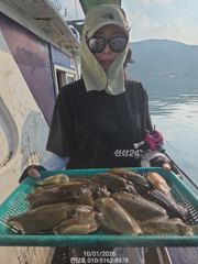 [사천] (건담호)1일 갑오징어 또또 굿굿^^ 담주 자리여유