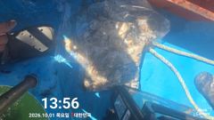 10월1일 먹물~ 사진