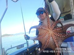 [진해] 갯바위돌문어 어제도 개인4kg외 1100g1000g1000g90…