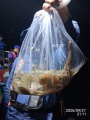 [진해] 대물 돌문어사냥 고고고!