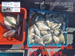 감성돔