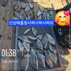 [고성] 병산 감성돔4짜4짜4짜외 선상배흘림&선외기 흘림조황