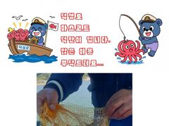 [사천] 삼천포덕성호 돌문어, 주꾸미 출조 예약 받습니다.(2026년 1…
