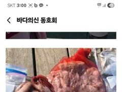 9월 21일 조황입니다