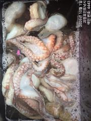~~*돌문어 마리수로 손맛 굿~~(일요일예약가능)*~~