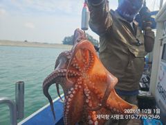 [진해] "여밭돌문어" 시월 첫날 3자릿수 개인13수12수12수11수등 …