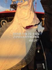 3일,"대광어"날마다 대박조황~~오늘도 잘나오고 있어요~실시간~…