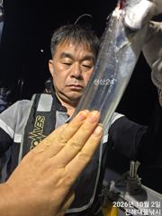 와우~3일새벽,내만칼치용기리들 잔치잔치~미친씨알퍼담아,월,화,수욜예약가능