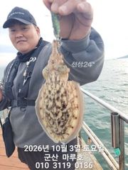 ☆ 10월 3일 마루호 갑오징어 실시간 조항 ~ ☆
