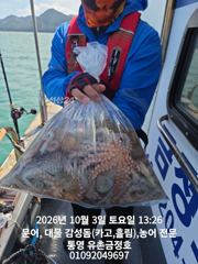 통영 금정호 바람통에도 문어들이 격하게 반깁니다 월요일종일낚시 …