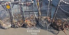 [통영] (문어)피딩~망탱이 가득 원도권 집중공략 락피싱(4일 예약) 사진