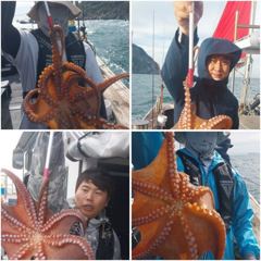 [군산] [군산 드래곤호] 10/3 군산 "문어" 이정도면 대박조황~!!…