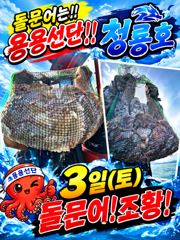 [고흥,녹동] <고흥녹동>청룡호 3일 돌문어 대박조황 소식!!
