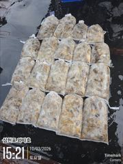 삼천포 쭈꾸미 세자리 유행이네요 멋집니다 놀러오십시요
