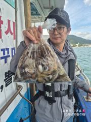 삼천포 쭈꾸미 조황 !! 화욜 자리널널