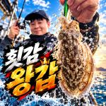 [배쯔호] 10월3일 갑오징어 낚시 사진