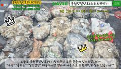 10월3일 홍원항힐링호 Good~ 쭈갑문 조황~!이틀 바람파도후 출조길..다행히 바다상황이 많이 좋와졌네요 ㅎㅎ장원두분 8.5kg오바 전원 5kg~7kg씩ㅋㅋ 조심히 올라가세요^^