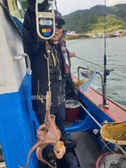 삼천포 용성호 돌문어 조황 및 행사안내