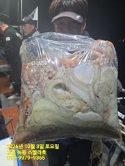 문어낚시(1부,2부)